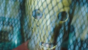 Jugar o morir — foto 8