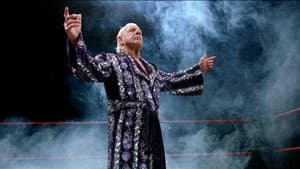 Nature Boy — foto 6