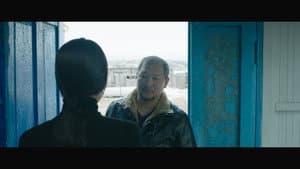 Чайки — foto 2