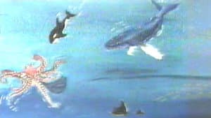 Hampie - ein kleiner Wal entdeckt seine Welt — foto 1