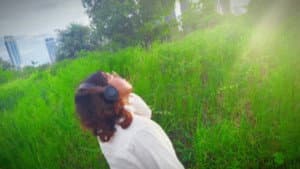 ณ ที่ซึ่งยังคงดำรงอยู่ในอันธการ — foto 2