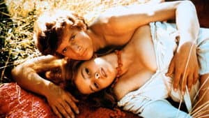 Gates to Paradise — foto 1