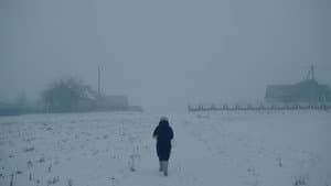 Motherland — foto 1