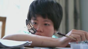 Chrysalis — foto 1