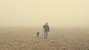 The Old Man and the Land — foto 1