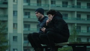 Wolves — foto 4
