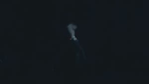 His Monster — foto 2