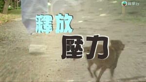 Episodio 15