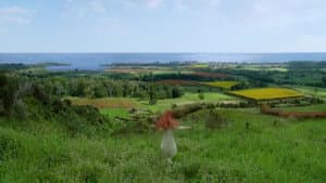 Anne of Green Gables — foto 7