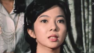 宝石の美女 江戸川乱歩の「白髪鬼」 — foto 1