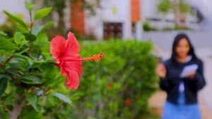 The Painter — foto 1