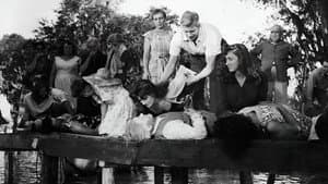 Bayou — foto 3