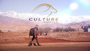 Culture Animale — foto 1