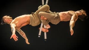 44e Festival mondial du Cirque de Demain — foto 4