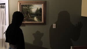 Sentient Shadows — foto 3