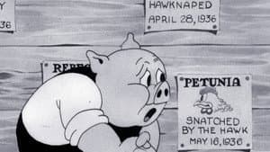 Little Beau Porky — foto 2