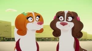 Episodio 24