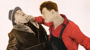 The Shock Punch — foto 1