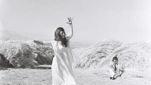 قطط شارع الحمرا — foto 12