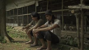 Ayam Maya — foto 1