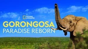 Gorongosa: Paradise Reborn — foto 4