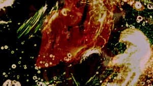 Delicacies of Molten Horror Synapse — foto 2