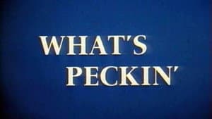 What's Peckin' — foto 1