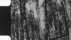 Portrait of Eve — foto 1