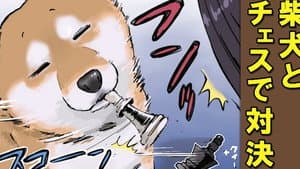 Episodio 47