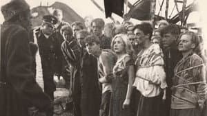 Молодая гвардия — foto 2