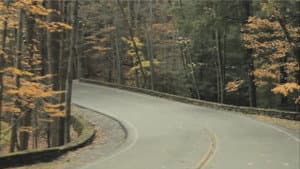 Fall — foto 1