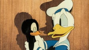 Donald - El pingüino de Donald — foto 1