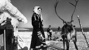 Valkoinen peura — foto 1