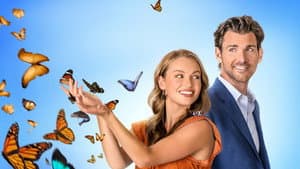 Feeling Butterflies — foto 1