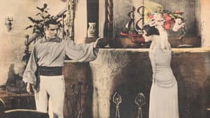 The Yankee Señor — foto 1