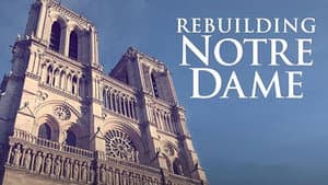 Rebuilding Notre-Dame — foto 3