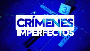 Crímenes imperfectos — foto 7