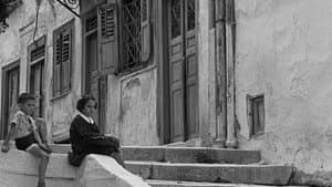 Το Οργανάκι του Αττίκ — foto 7