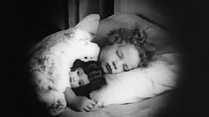 Poor Little Peppina — foto 6