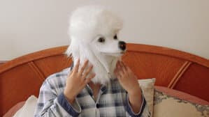 I Wish I Was A Dog — foto 1