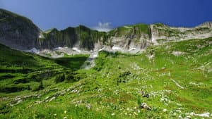 Wilde Schweiz — foto 2