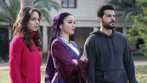 Episodio 15