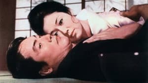 千羽鶴 — foto 1