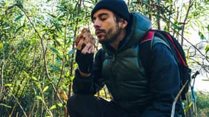 O Intrépido Explorador — foto 4