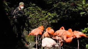 いいZooだね。～岩合光昭の動物園歩き～ — foto 3