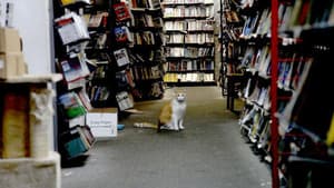 There Were Always Dogs, Never Kids — foto 1