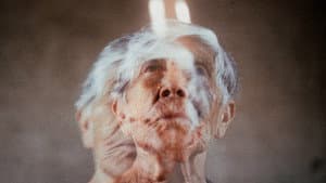 Eco de Luz — foto 1