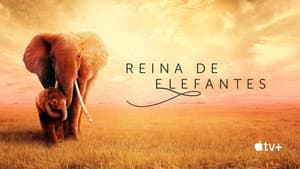 The Elephant Queen — foto 7