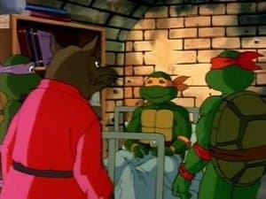 Miguel Ángel conoce al gran Gecko