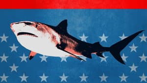 Shark Week 30 Años — foto 12